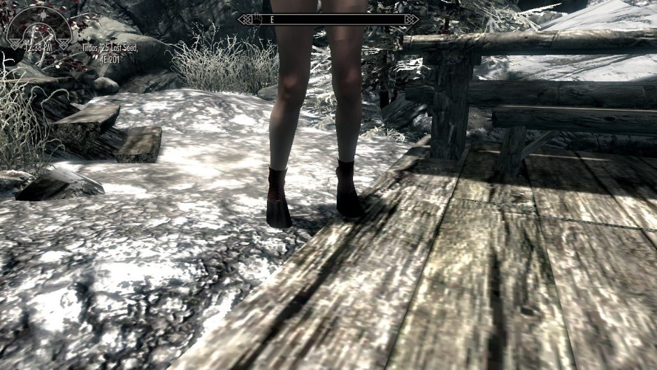 Skyrim Aroused Creatures
