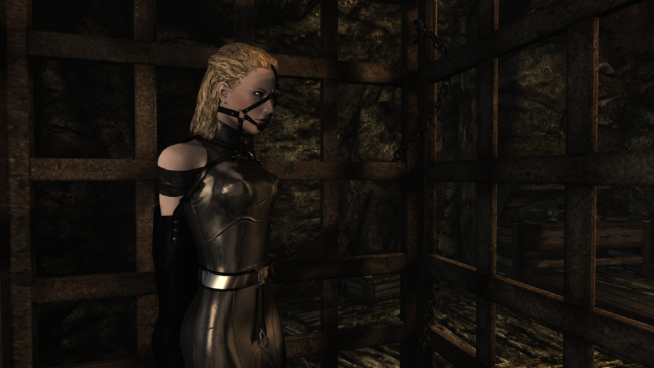 Skyrim mod Devious Devices