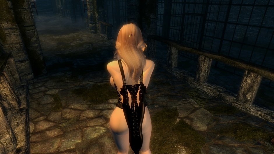 SEXLAB on Skyrim Legendary Edition