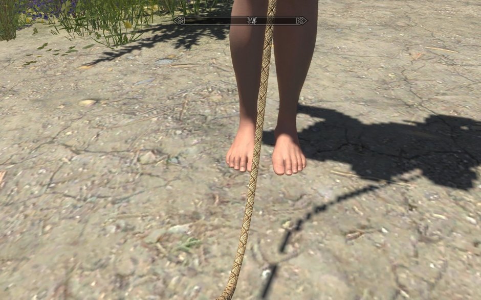 Skyrim Devious Devices Expansion 4.0