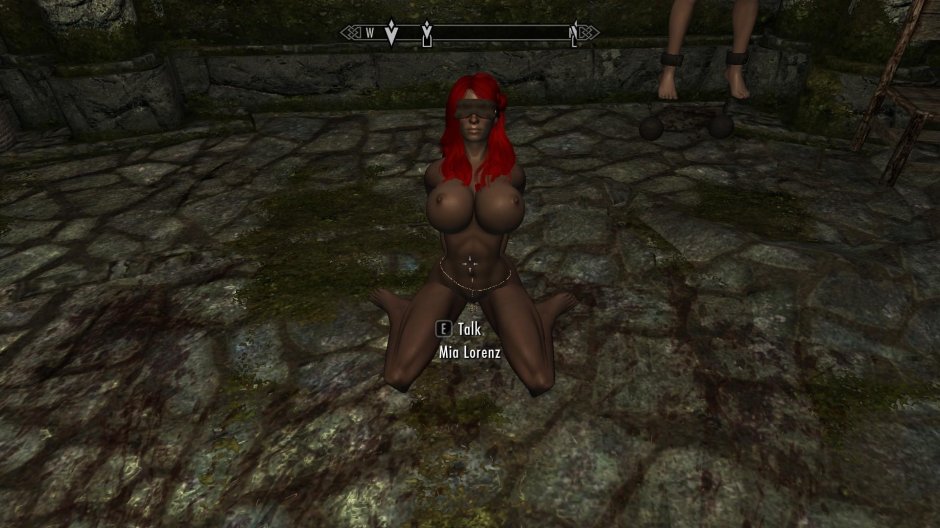 Skyrim mod Sexlab nude Creatures