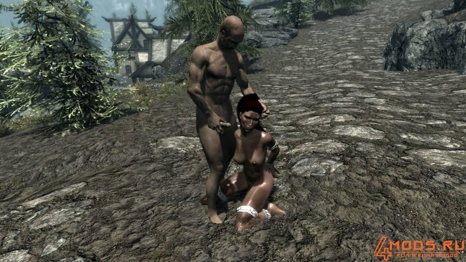 Skyrim Erotic mods