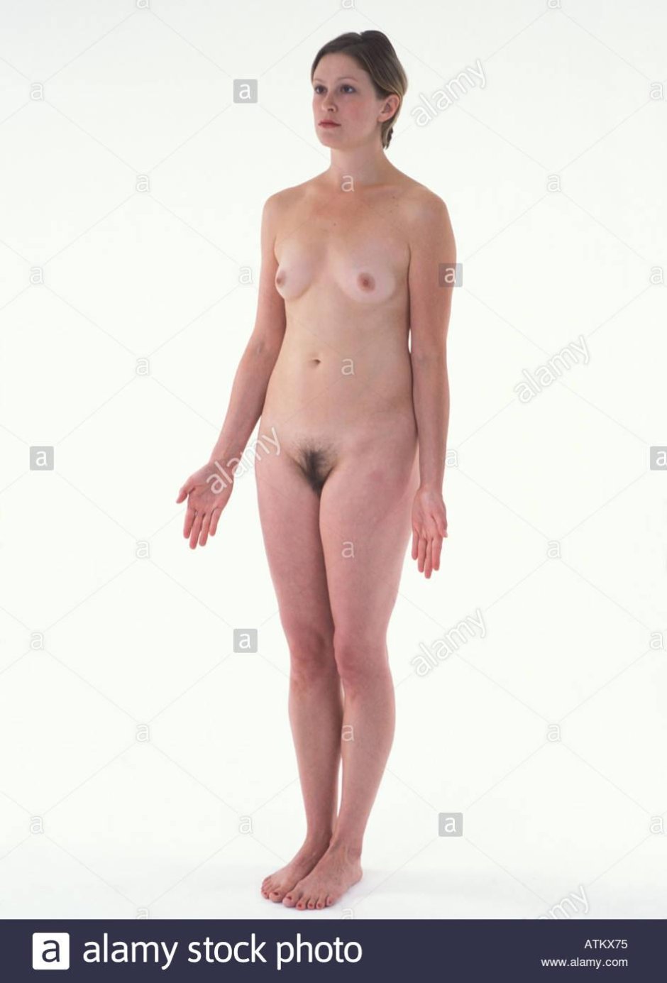 Naked women Anatomy video