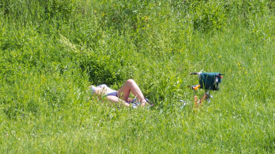 Family nudic beaches