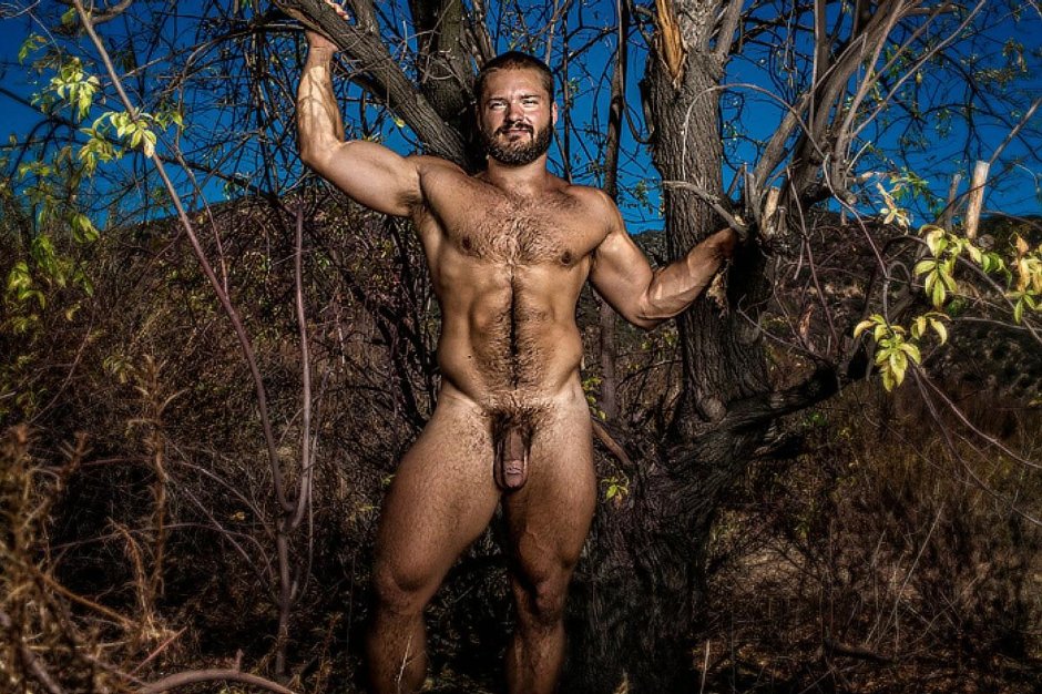 Beautiful naked hairy guys