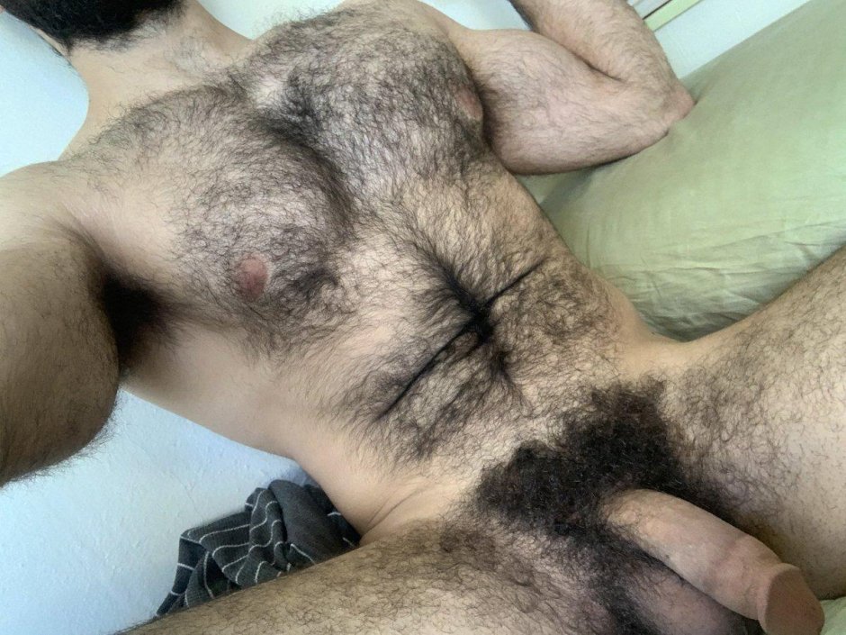 Hairy male pubis
