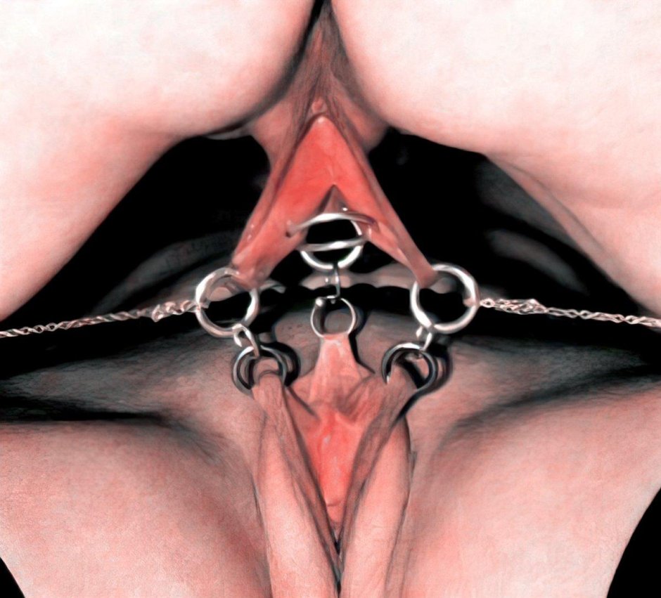 Clamps for stretching the labia