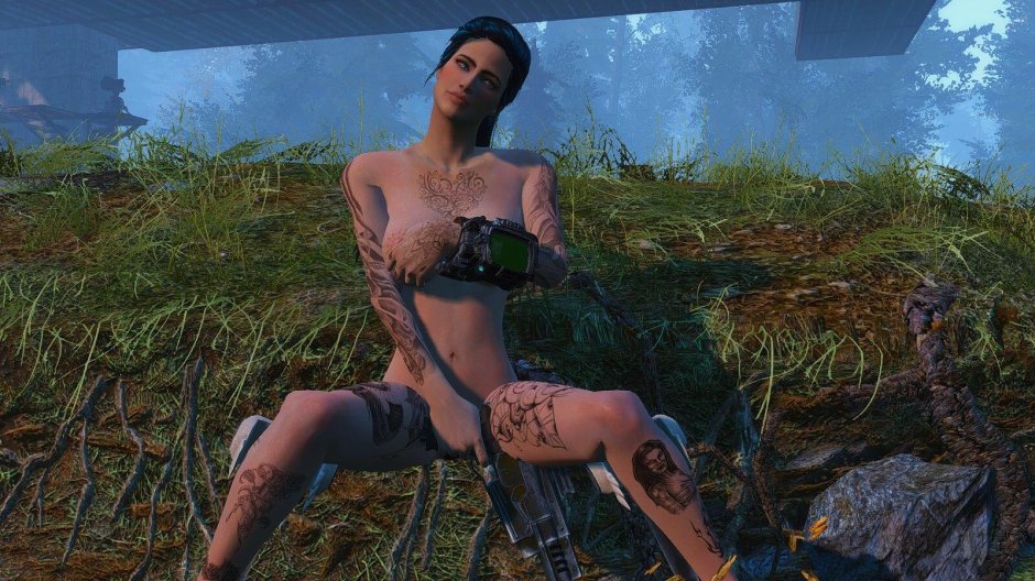 Fallout 4 Erotic mod assembly