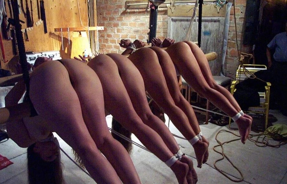 Many naked female asses