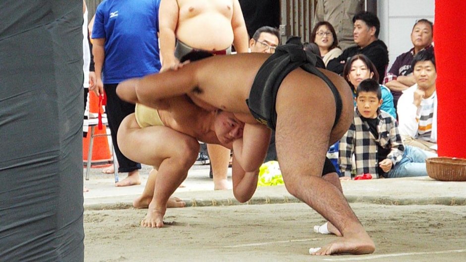 Wrestlers Sumo naked