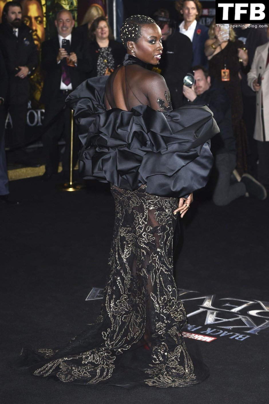 We are at the premiere of Black Panther