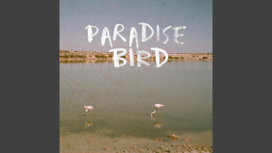 Valerie Model Paradise Birds