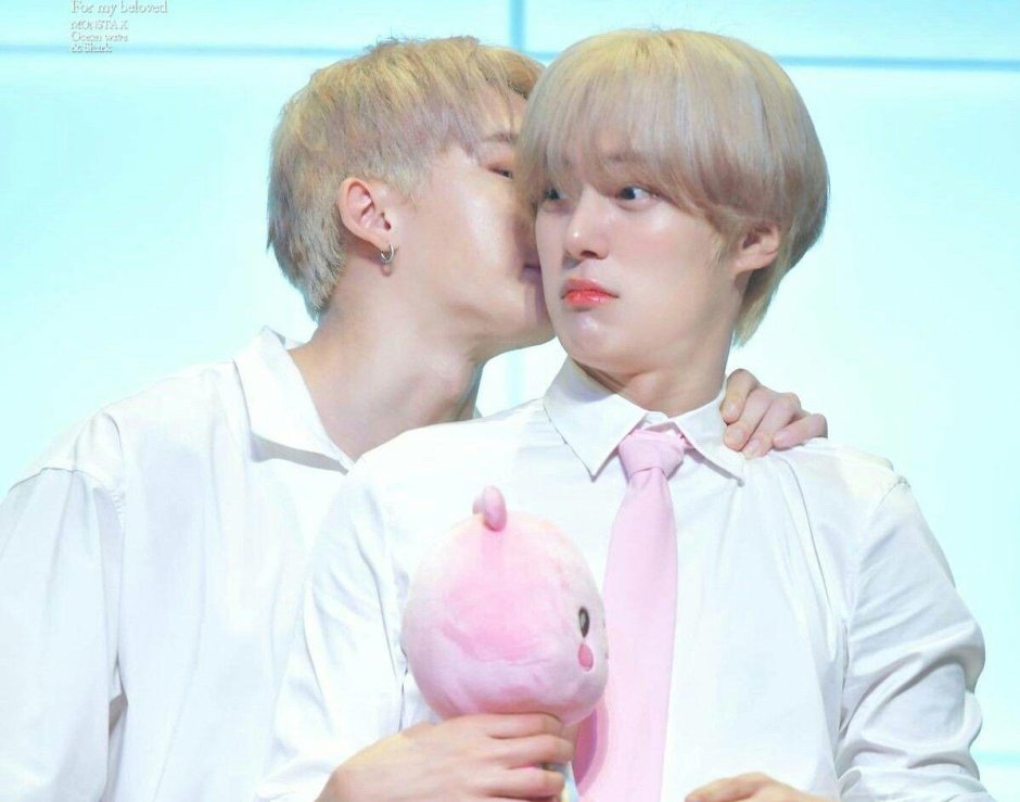 Monsta X Minkhyok and Hynwon