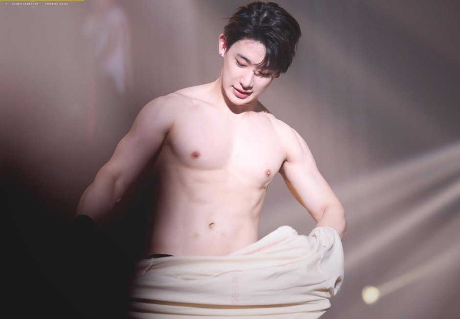 Monsta x Vonkho Torsos