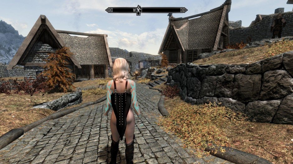 Skyrim le Sexlab