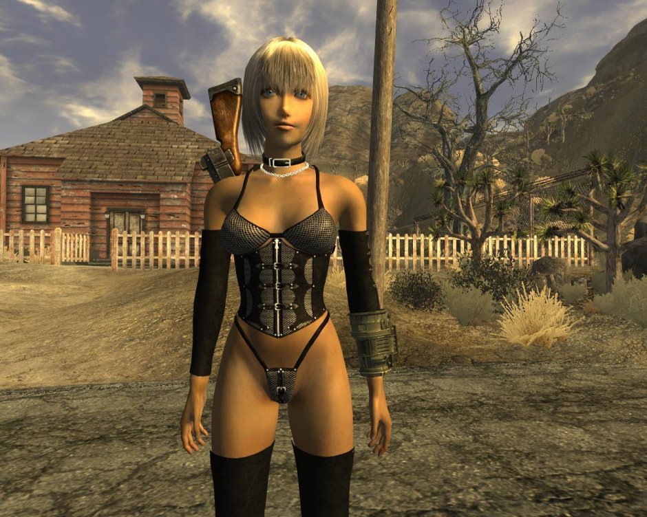 New Vegas Mod Sexout 18
