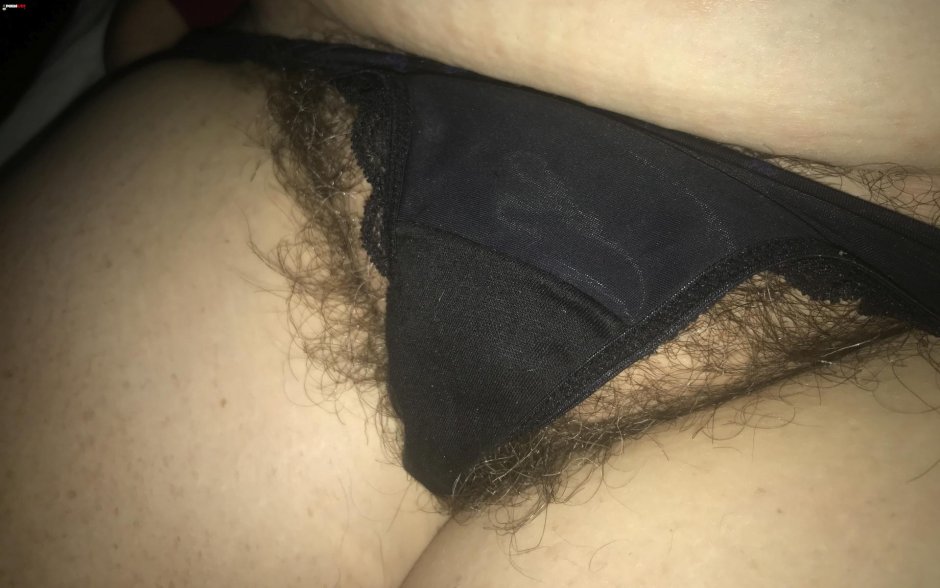 Hary Pussy Panties amateur