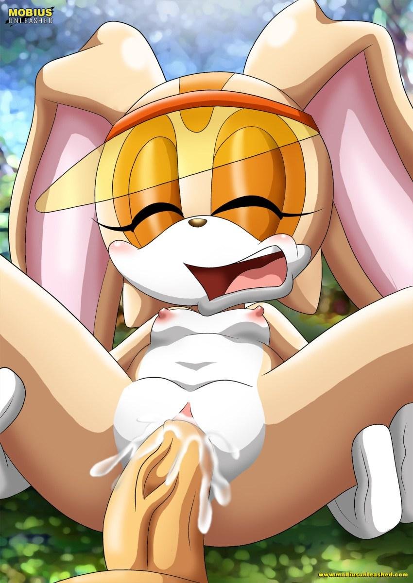 Sonic Vanilla The Rabbit and Crim Hentai
