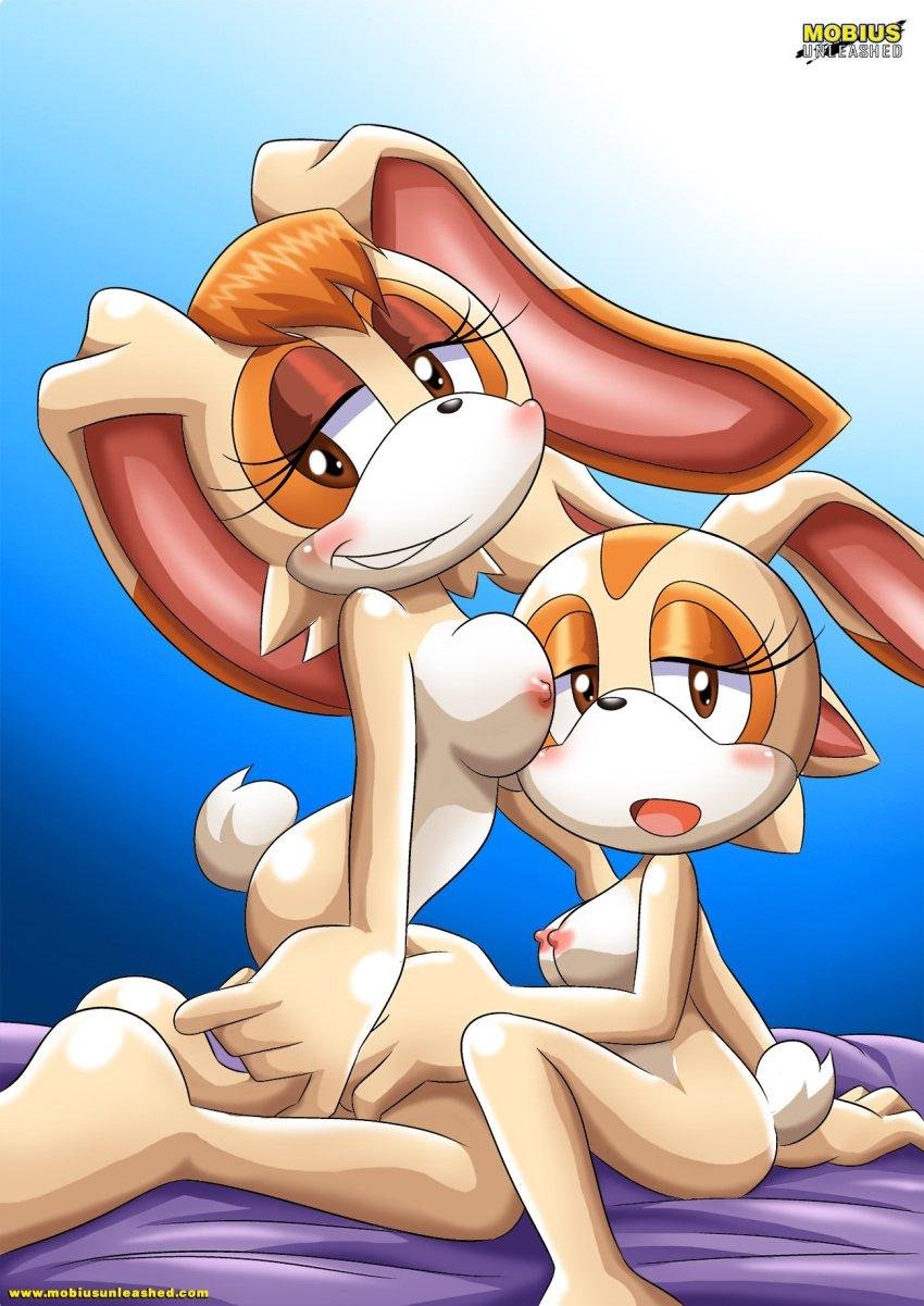 Vanial rabbit from Sonic Hentai