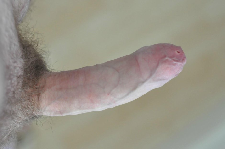 Member with a small head