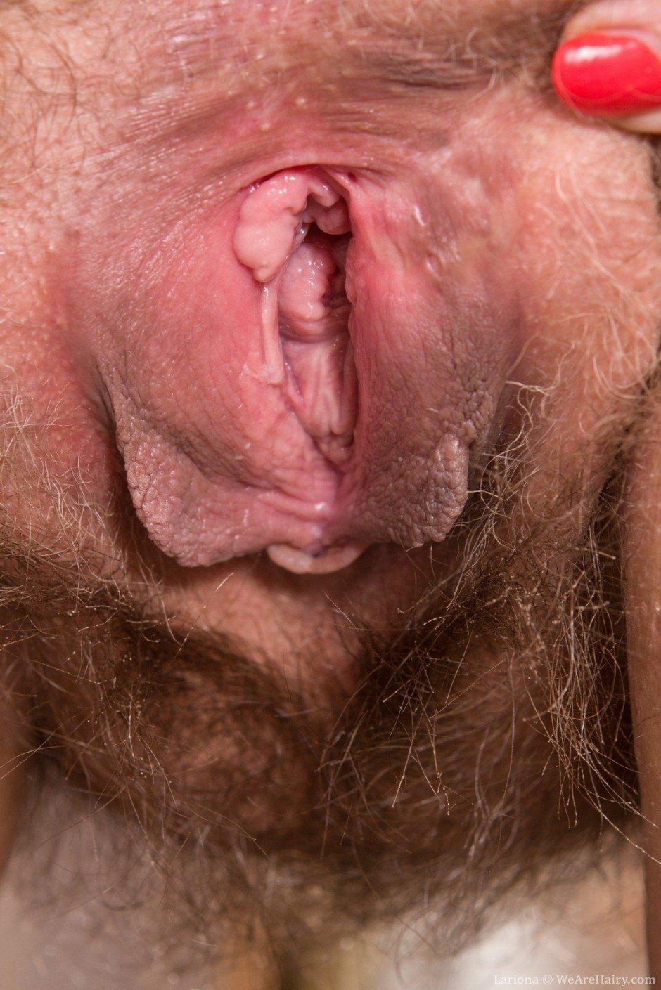 Hairy Vagina close -up