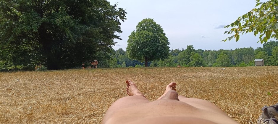 Naturism on a garden section