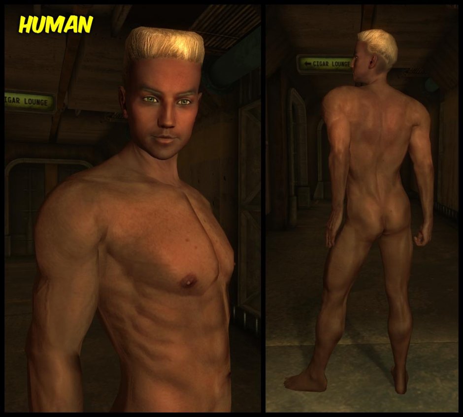 Fallut 4 New Vegas Male Nude