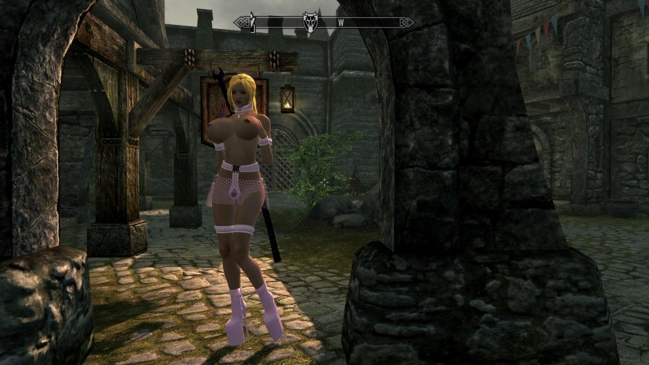 Skyrim mod Devior Devices