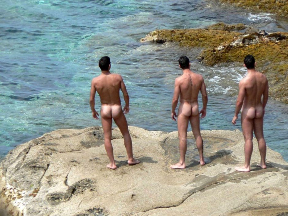 Guys on a nudist beach