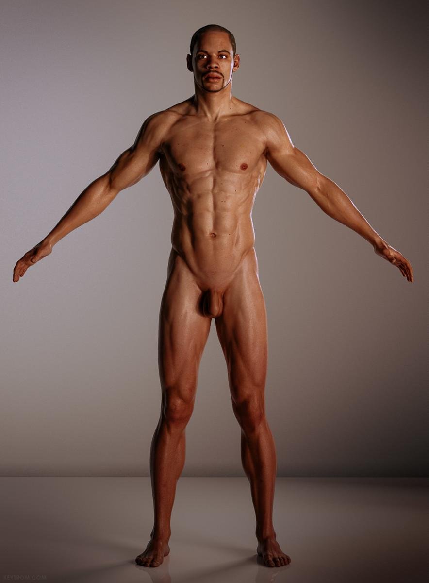 Naked male body Anatomy