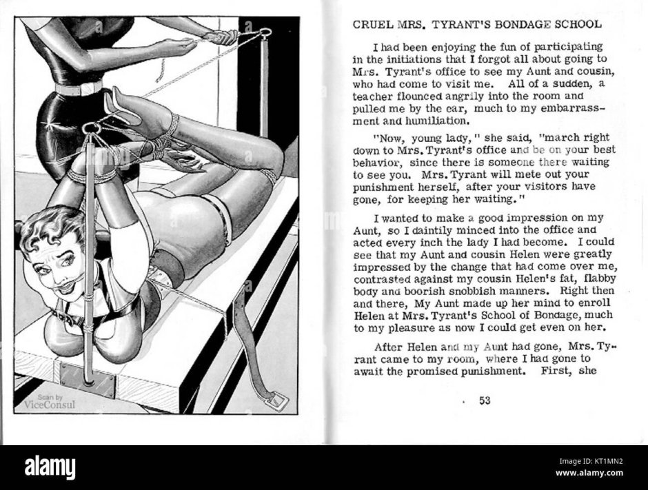 Story Bondage Carousel